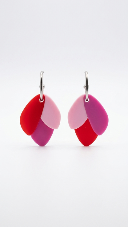 Pendientes Ali