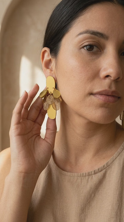 Pendientes Razi